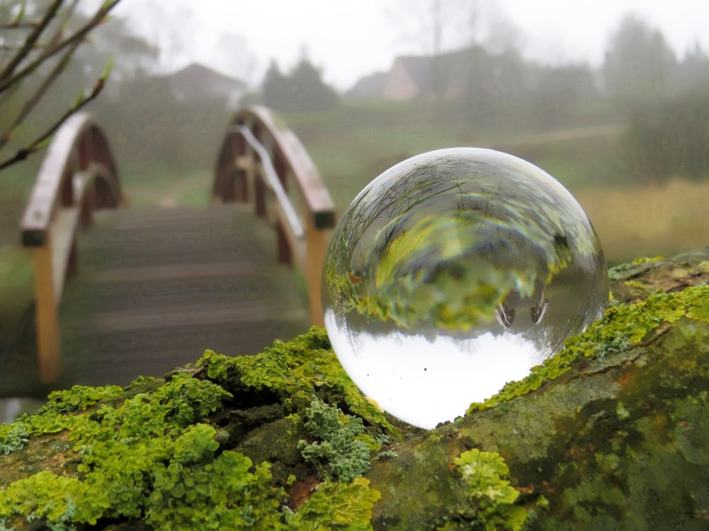 Die Welt durch eine Glaskugel sehen